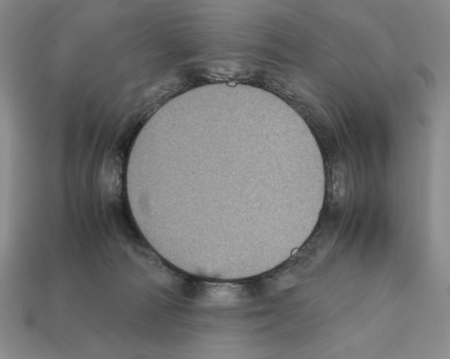 X0000112040226200909141124