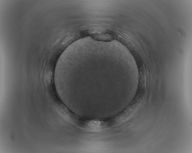 X0000112040227200909141124