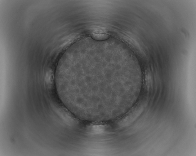 X0000112040228200909141124