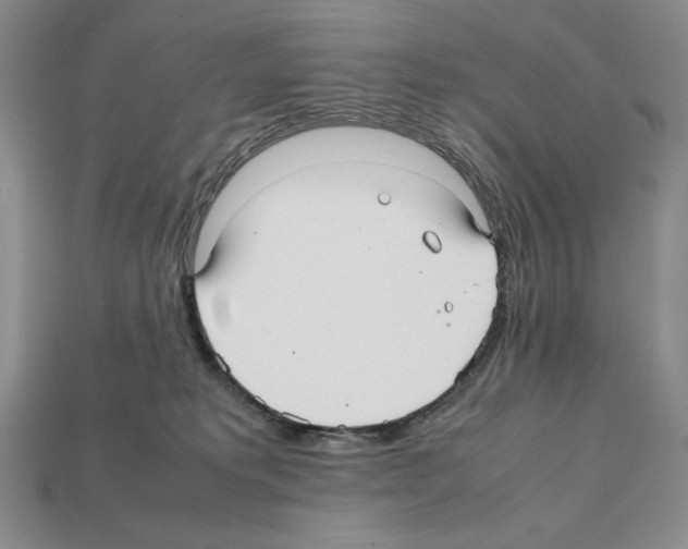 X0000112040229200909141123