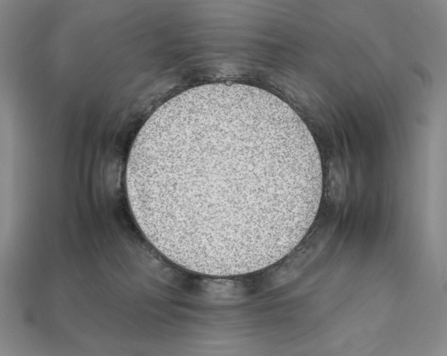X0000112040230200909141123