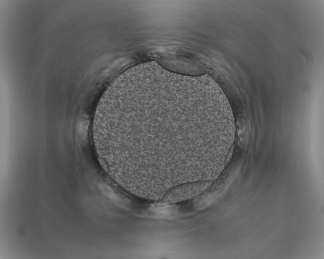 X0000112040231200909141123