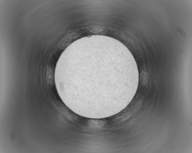 X0000112040234200909141123