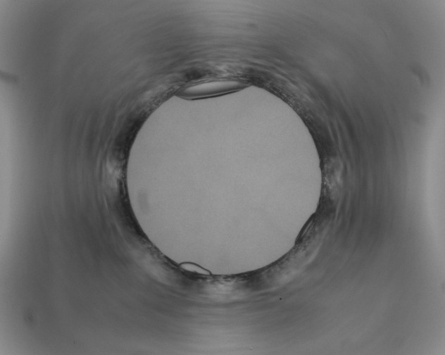X0000112040235200909141123