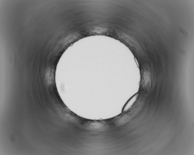 X0000112040236200909141123
