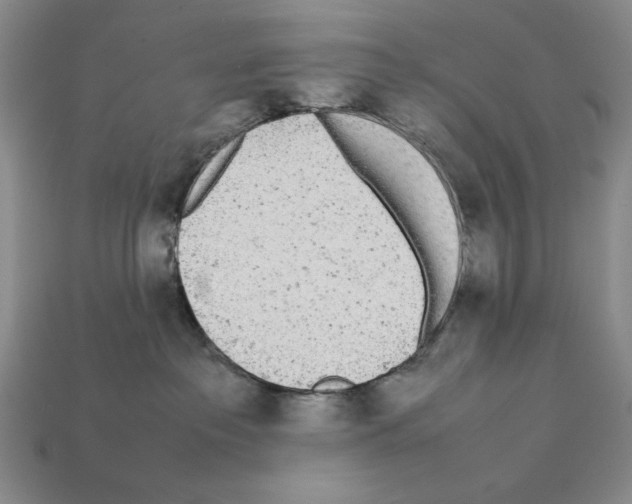 X0000112040237200909141123