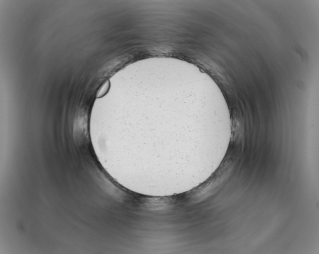 X0000112040238200909141123