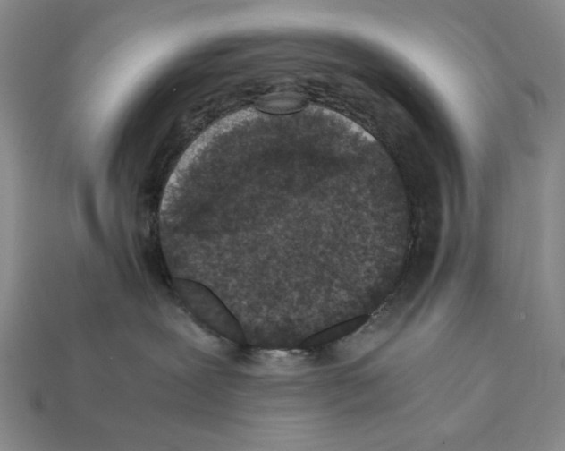 X0000112040239200909141123