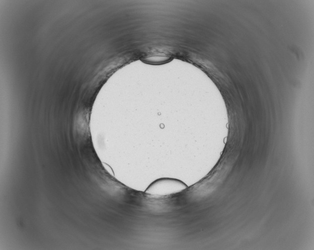 X0000112040240200909141123