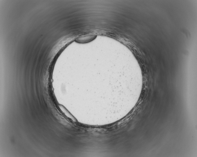 X0000112040242200909141123