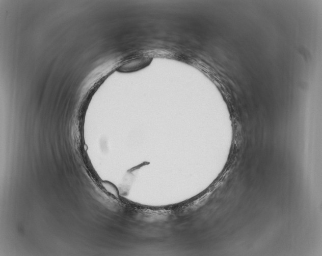 X0000112040245200909141123