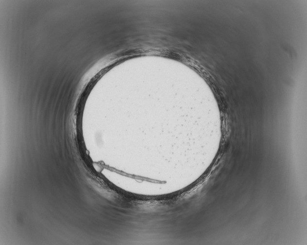 X0000112040246200909141123