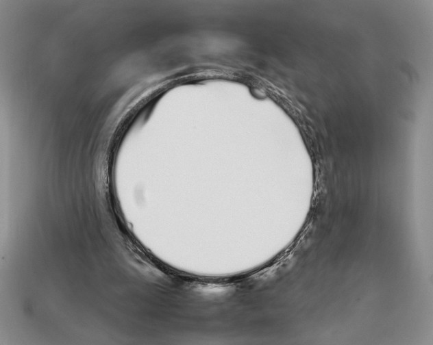 X0000112040247200909141123