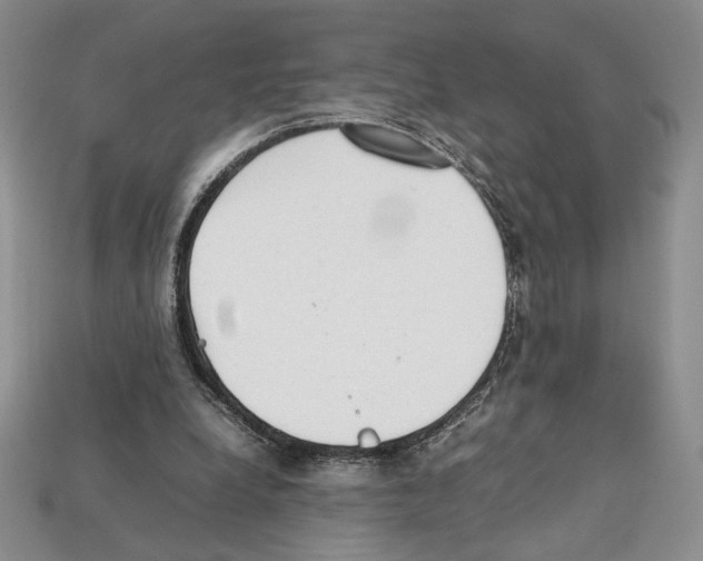X0000112040248200909141123
