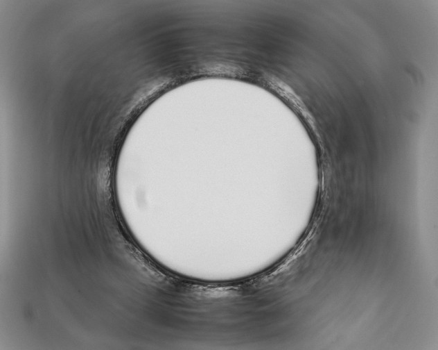 X0000112040249200909141123