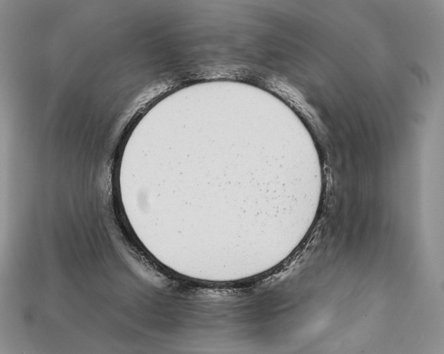 X0000112040250200909141123