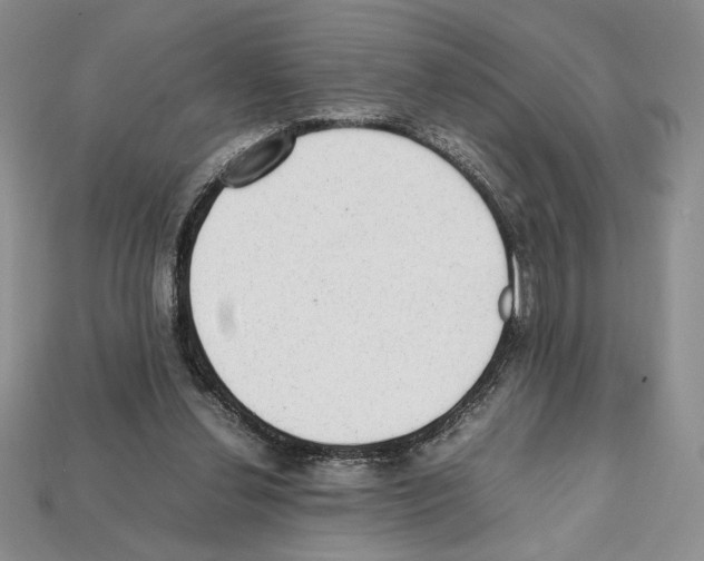 X0000112040252200909141123
