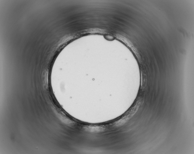 X0000112040253200909141123