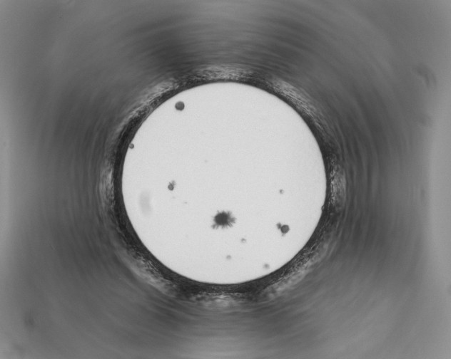 X0000112040254200909141123