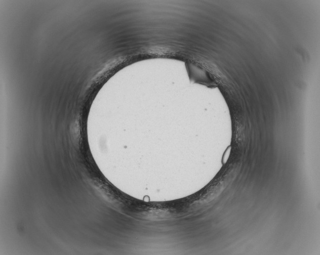 X0000112040256200909141123