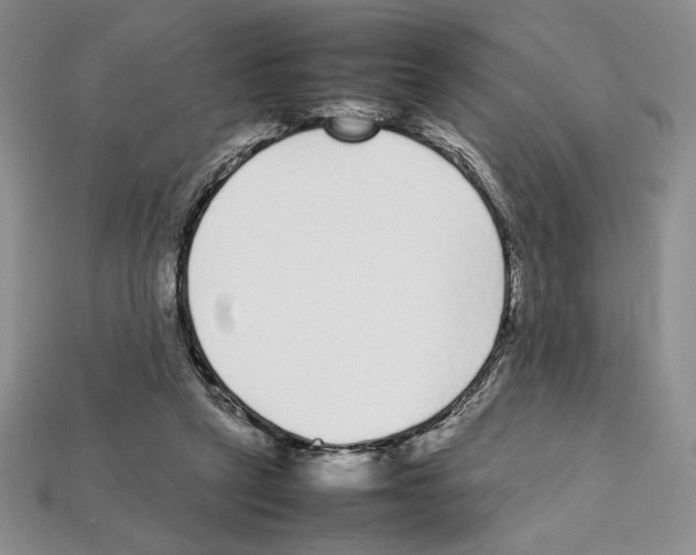 X0000112040257200909141123