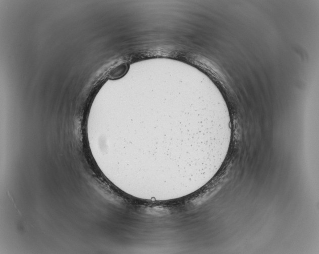 X0000112040258200909141123