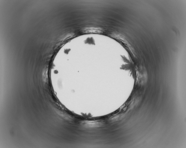 X0000112040259200909141123