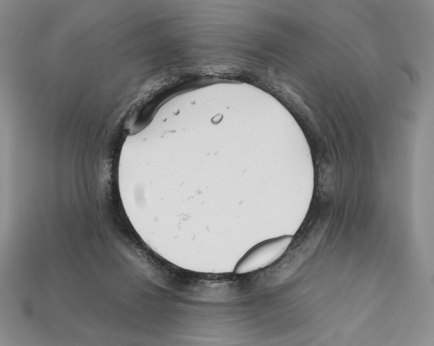 X0000112040260200909141123