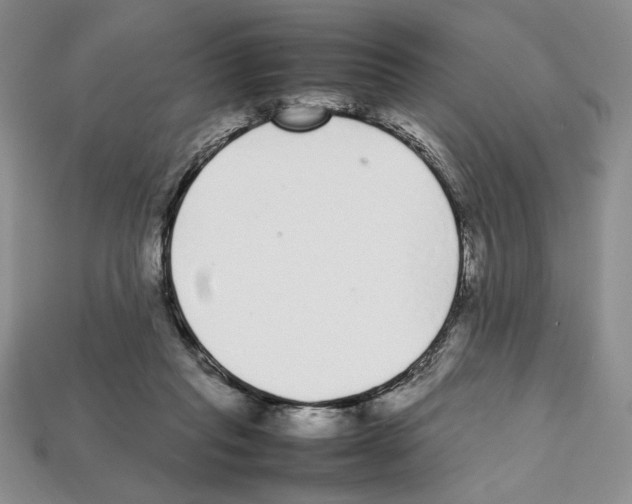 X0000112040261200909141123