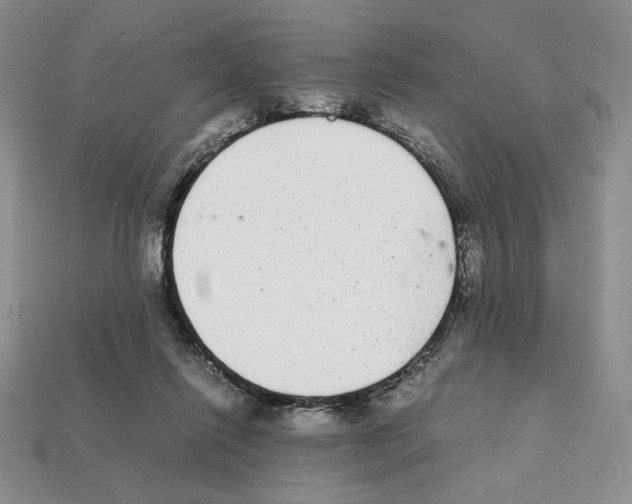 X0000112040262200909141123