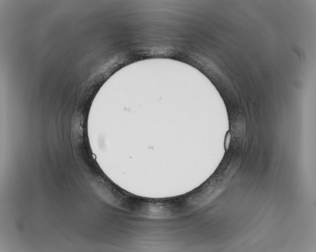 X0000112040264200909141123