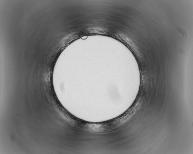 X0000112040265200909141123