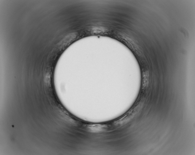 X0000112040269200909141123