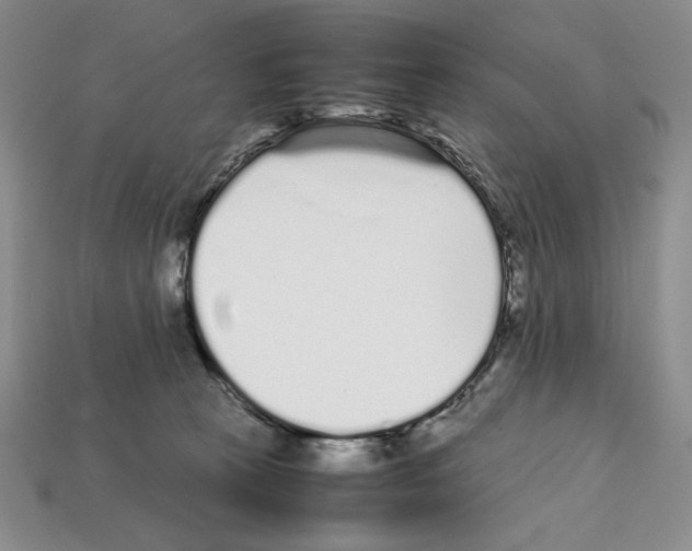 X0000112040273200909141123