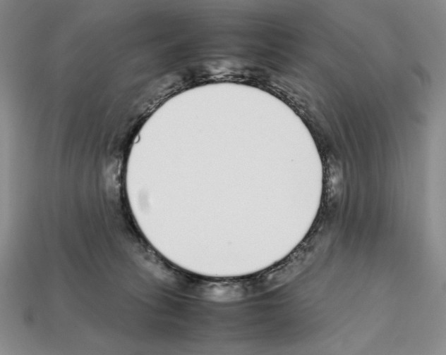 X0000112040275200909141123