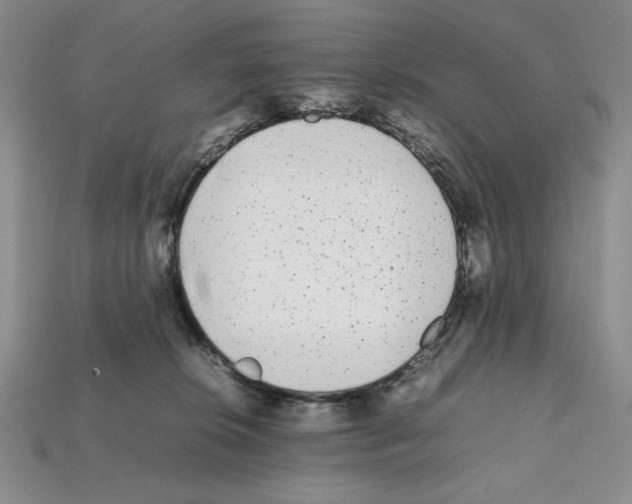 X0000112040276200909141123