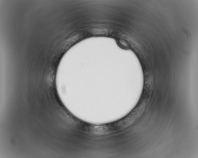 X0000112040277200909141123