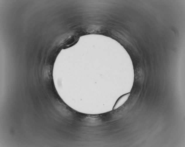 X0000112040280200909141123