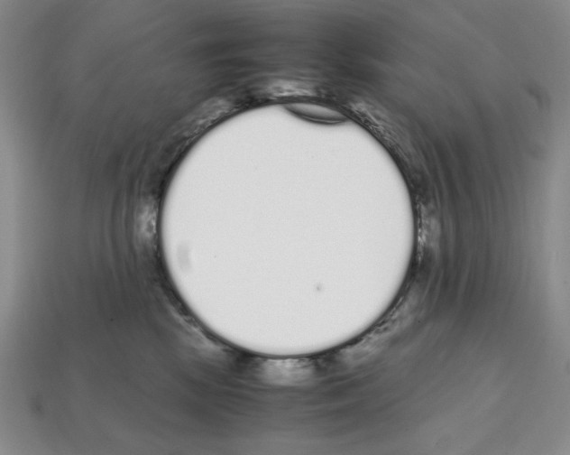 X0000112040281200909141123