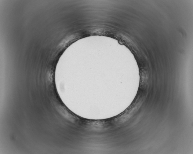 X0000112040282200909141123