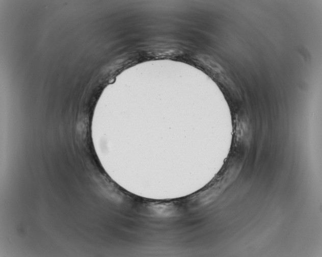 X0000112040283200909141123
