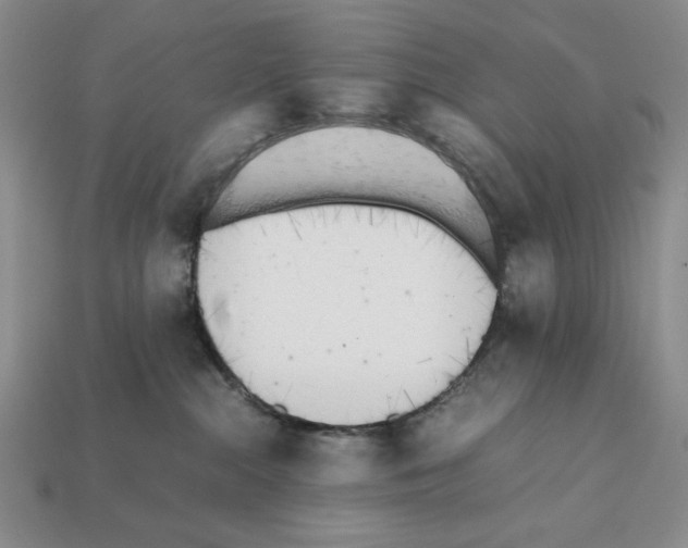 X0000112040284200909141123
