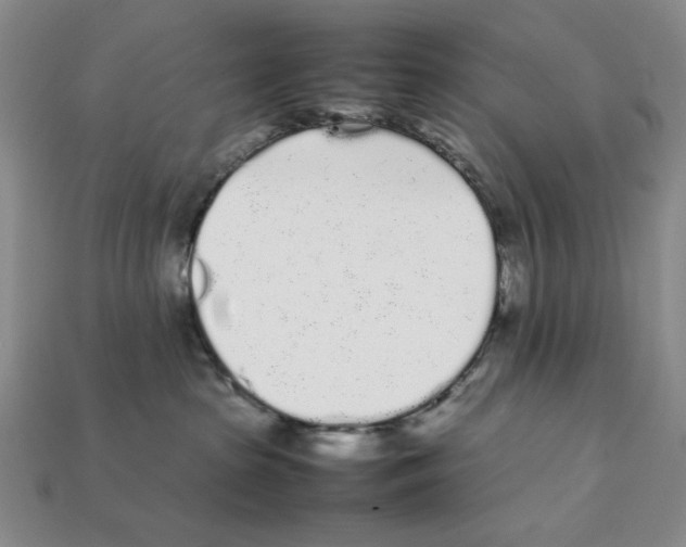 X0000112040285200909141123