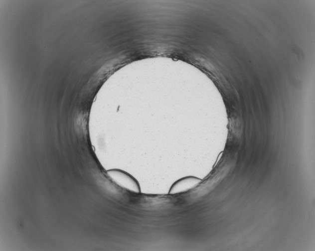 X0000112040286200909141123