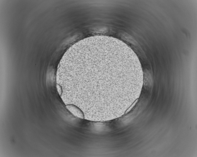 X0000112040287200909141123