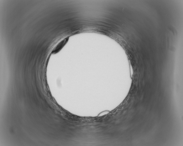 X0000112040289200909141123