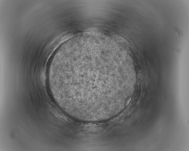 X0000112040290200909141123