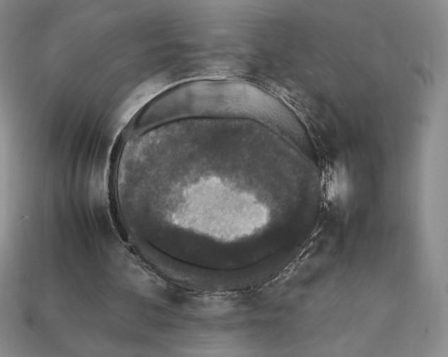 X0000112040292200909141123