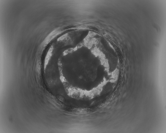 X0000112040295200909141123