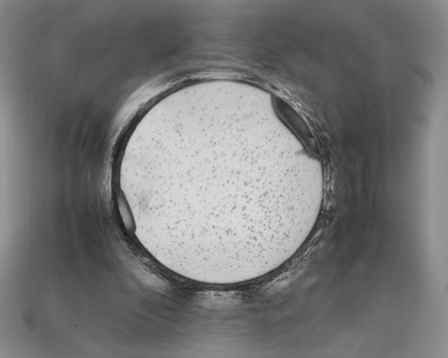 X0000112040296200909141123